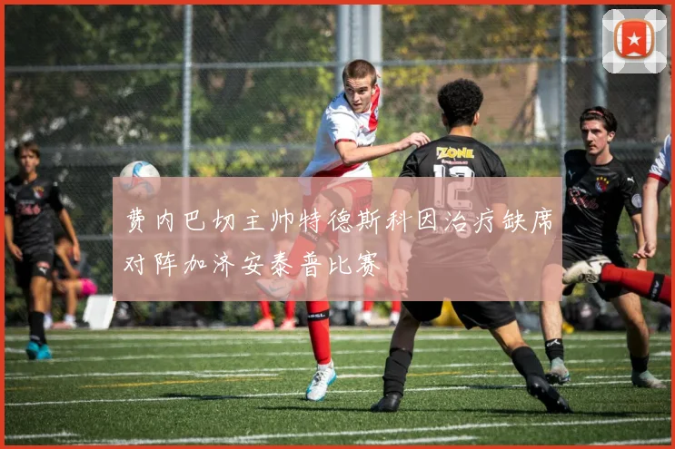 费内巴切主帅特德斯科因治疗缺席对阵加济安泰普比赛