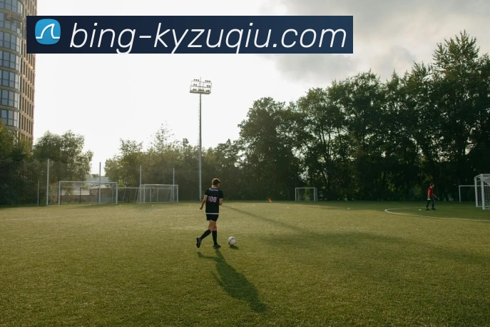 开云足球平台生态图