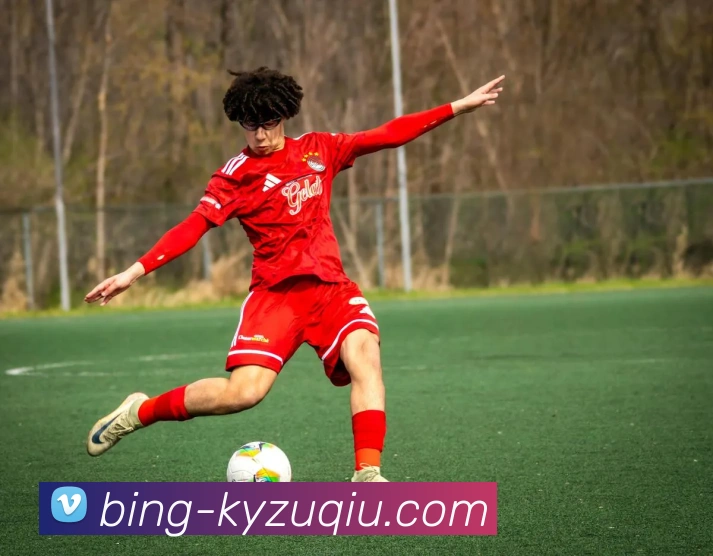 开云足球APP 封面图